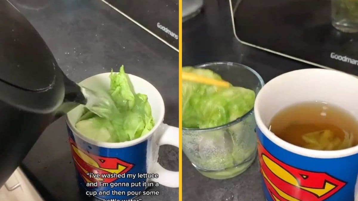 Genius lettuce hack ‘puts people to sleep in seconds’ – and people swear by it