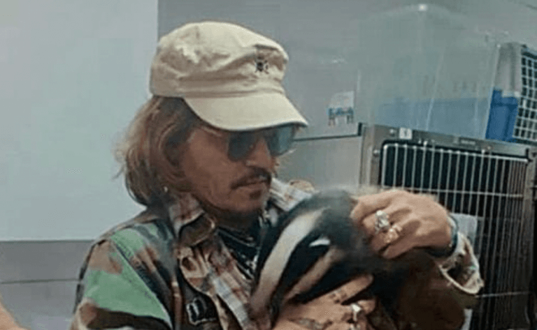 Johnny Depp pictured holding orphaned badger at rescue centre after defamation win Johnny Depp pictured holding orphaned badger at rescue centre after defamation win