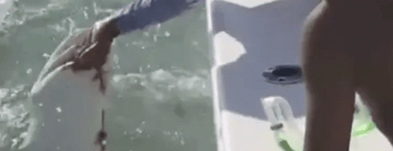 Fisherman fights shark as he tries to get his finger back- ‘I lost my goddamn pinky’