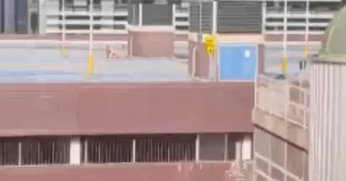 Naked couple filmed having rooftop sex during record heatwave