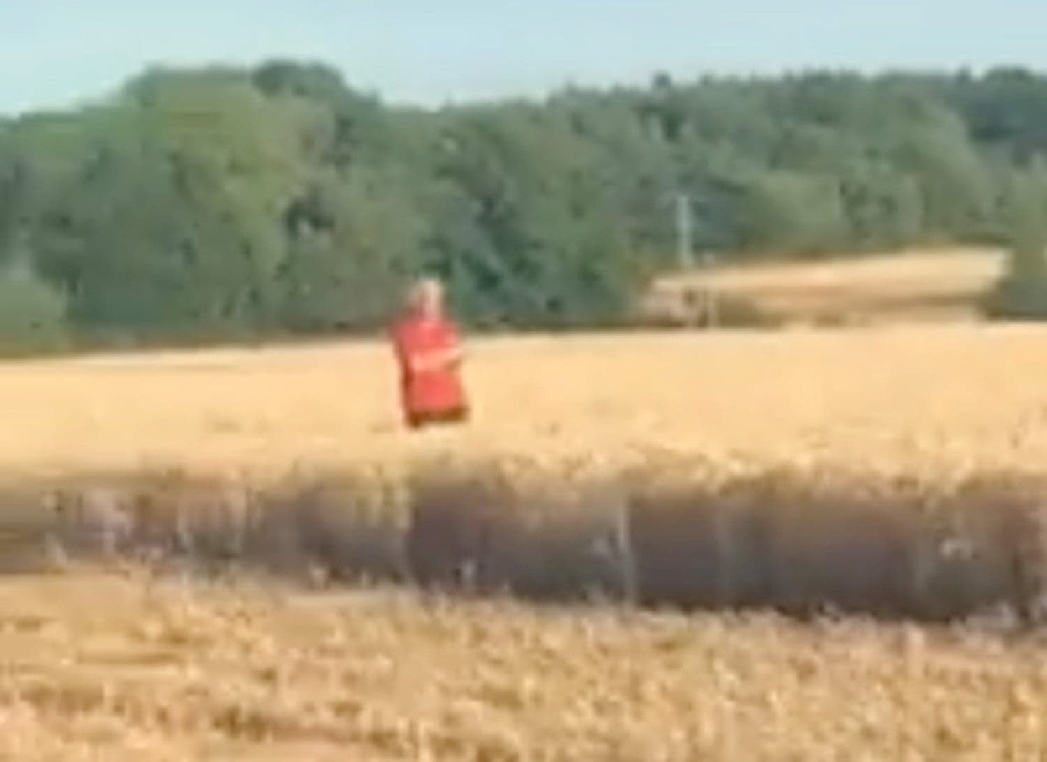 Angry local jumps in front of combine harvester to complain about his dusty sandwich