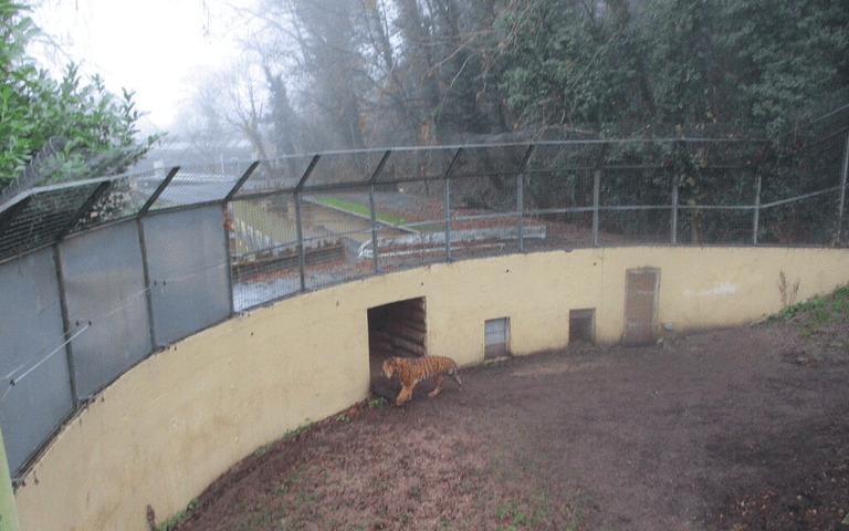 UK zoo hits back as visitors brand it a ‘zombie apocalypse’ with ‘sad and abandoned’ animals