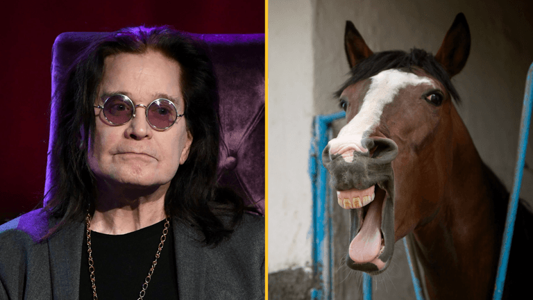Ozzy Osbourne says he gave up acid after horse told him to ‘f**k off’ Ozzy Osbourne says he gave up acid after horse told him to ‘f**k off’