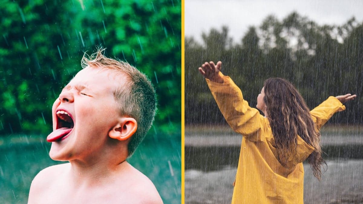 Rainwater is now too toxic for humans to drink and it’s our fault, study finds