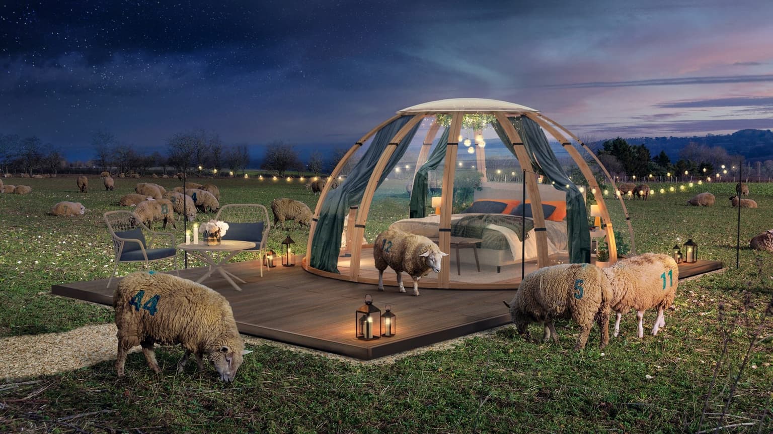 World’s first real sheep-counting sleep experience will showcase ‘the power of a good night’s rest’
