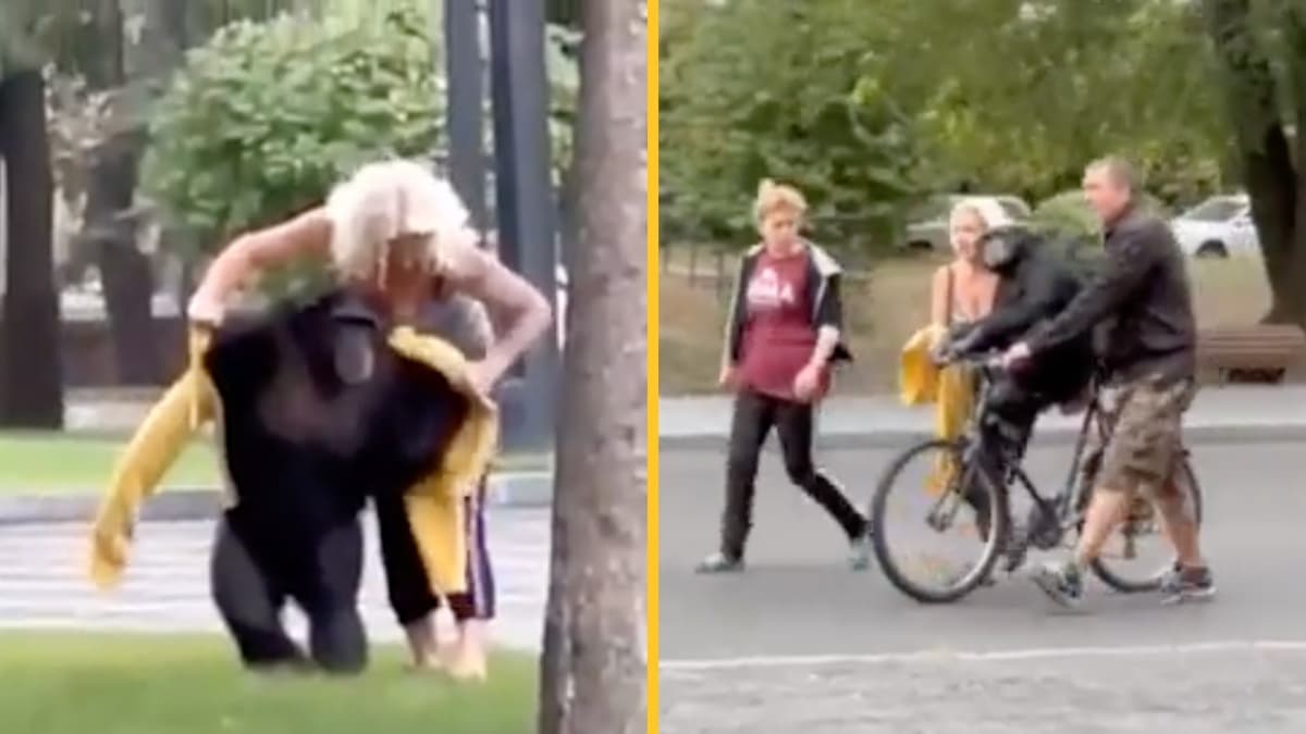 Chimpanzee escapes Ukraine zoo – returns to park on bicycle with raincoat