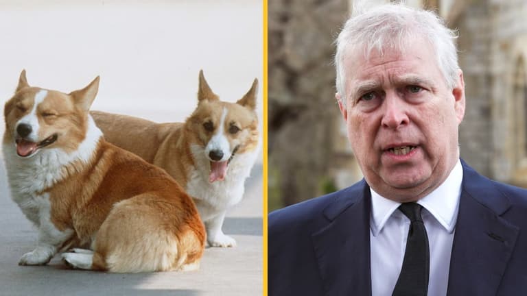 Queen’s beloved corgis will be cared for by Prince Andrew Queen’s beloved corgis will be cared for by Prince Andrew