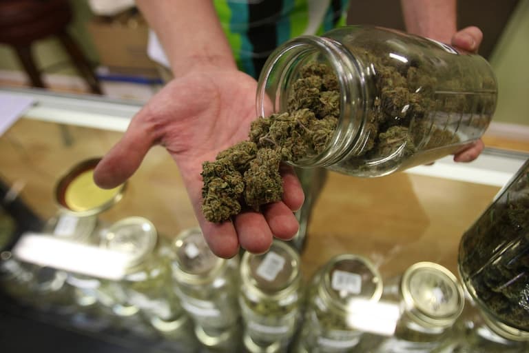 Germany to legalise recreational use of cannabis Germany to legalise recreational use of cannabis