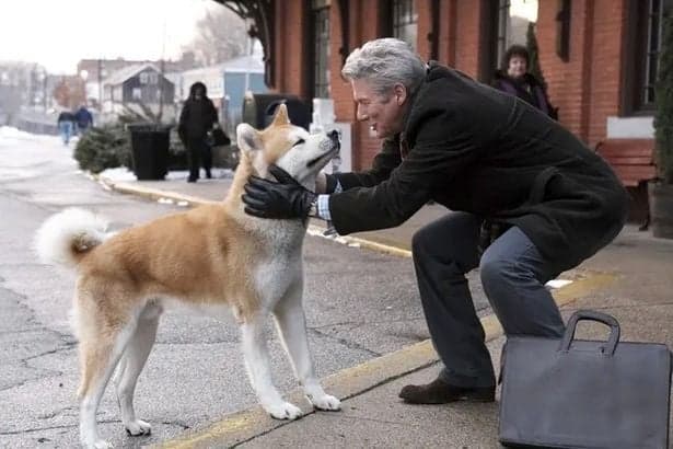 Netflix fans left on the verge of ‘throwing up’ and issue warning about ‘upsetting’ dog movie