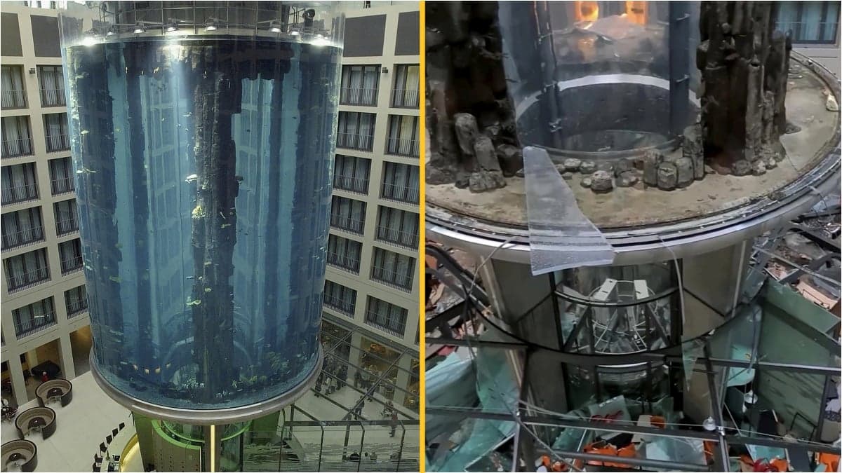 Giant 82ft-high aquarium containing 1,500 fish explodes in Berlin
