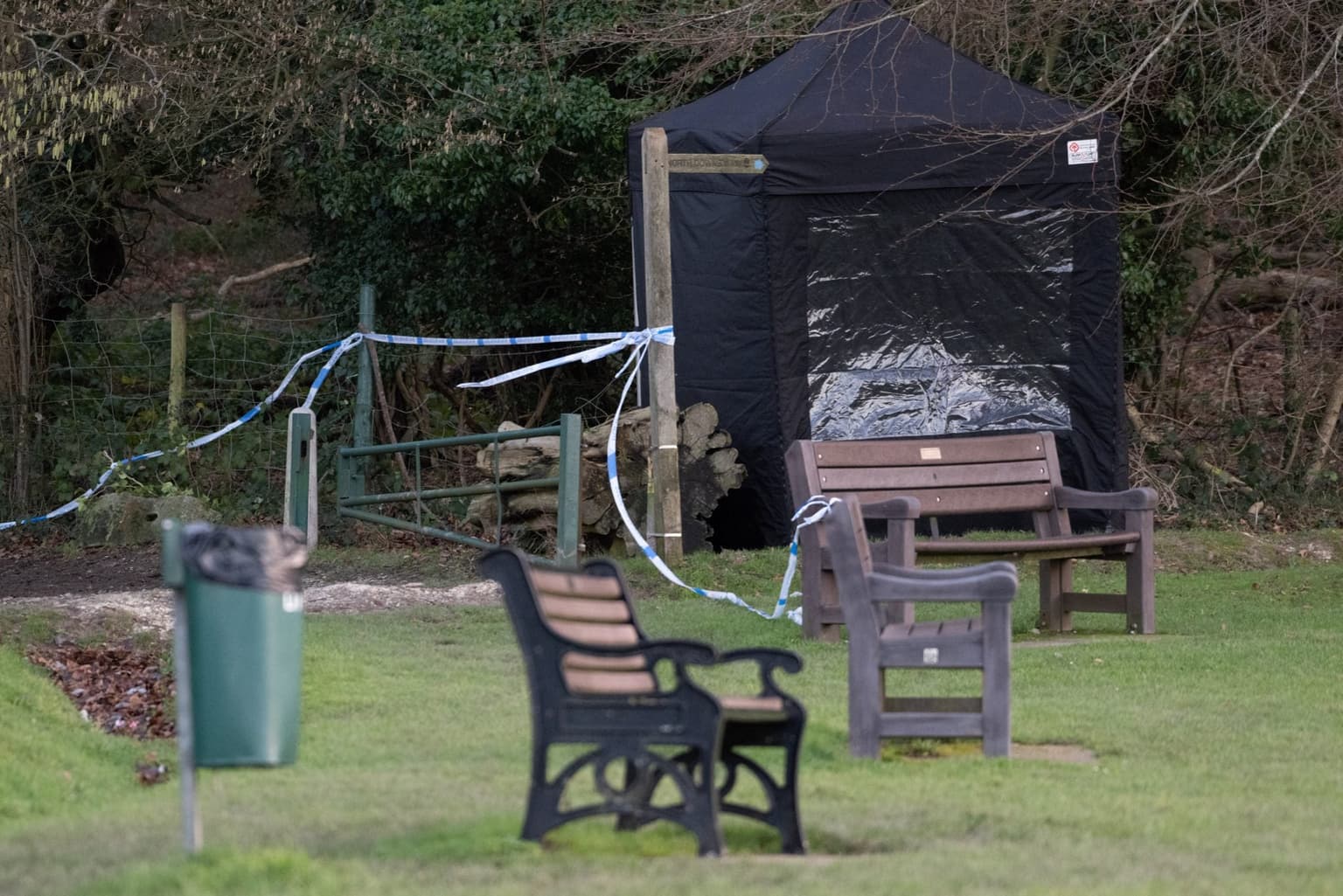 Surrey dog attack woman screamed ‘turn back’ as she was ‘attacked by multiple dogs’, witness says