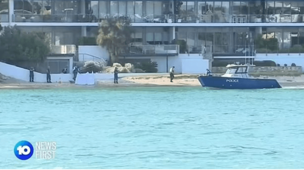Teen jumps off jetski to swim with dolphins and gets killed by shark in river attack