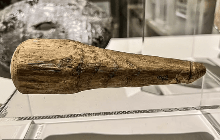 Wooden implement dating back 2,000 years might be ‘Britain’s oldest sex toy’ Wooden implement dating back 2,000 years might be ‘Britain’s oldest sex toy’