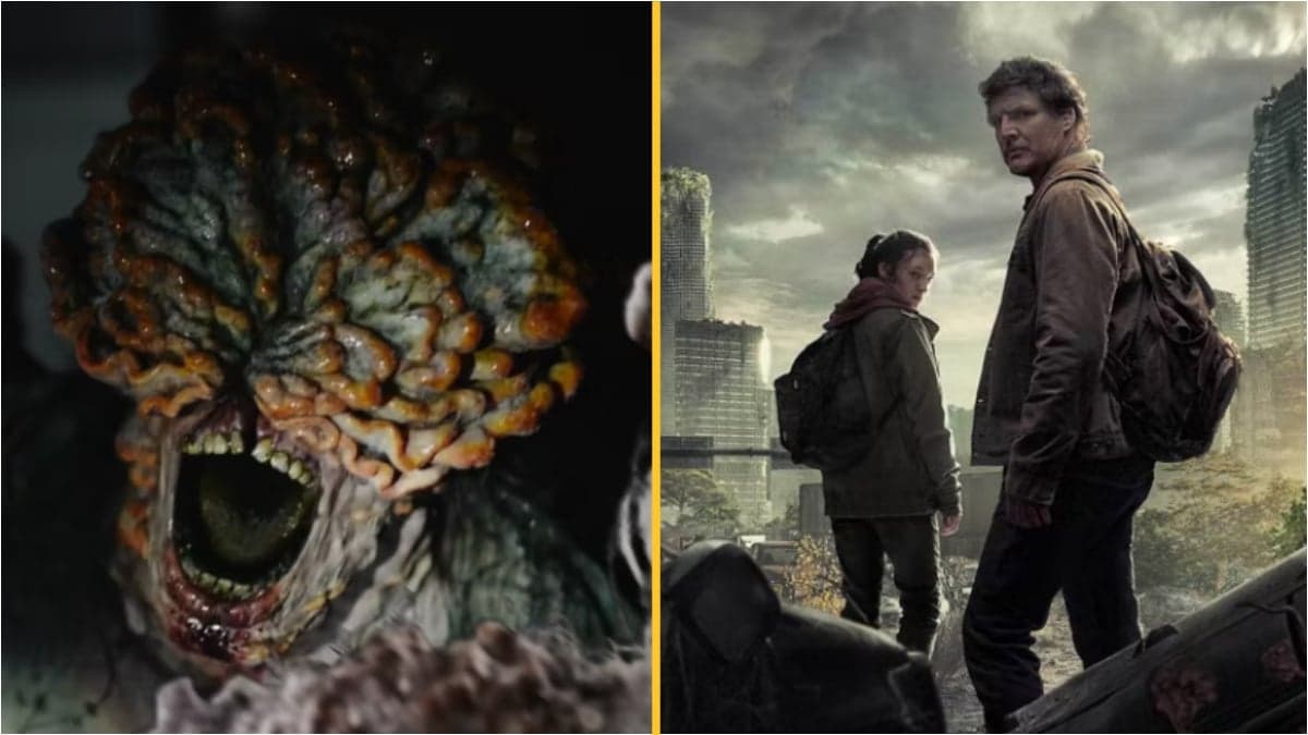 Increase in dangerous fungal infections driven by rising temperatures, in real-life parallel to The Last of Us