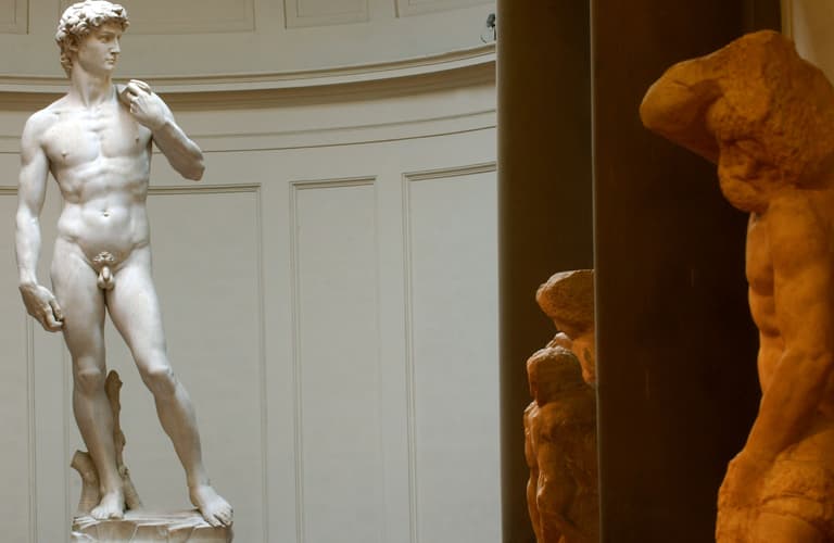 School headteacher fired for showing Michelangelo’s David in class