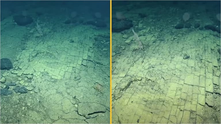 Scientists find ‘road to Atlantis’ at bottom of Pacific Ocean Scientists find ‘road to Atlantis’ at bottom of Pacific Ocean
