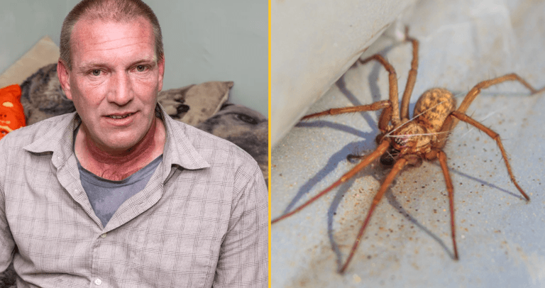 Man rushed to hospital after spider he swallowed in his sleep bites him on the throat