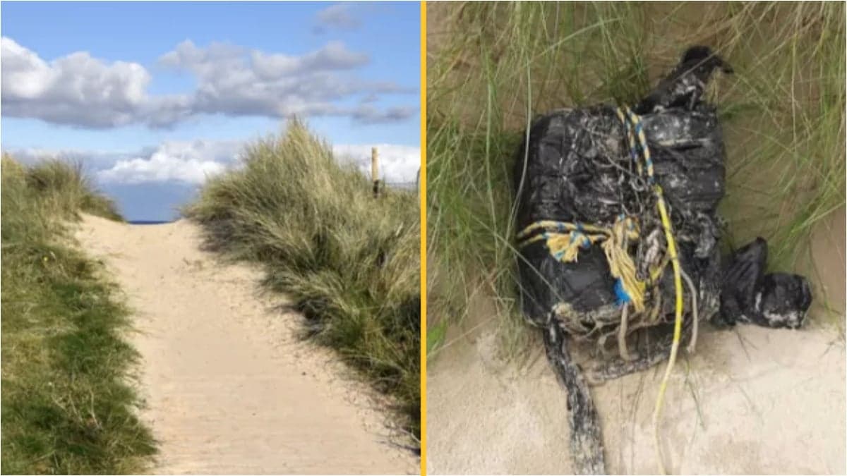 Package with £1.7million worth of cocaine found by walker on popular beach