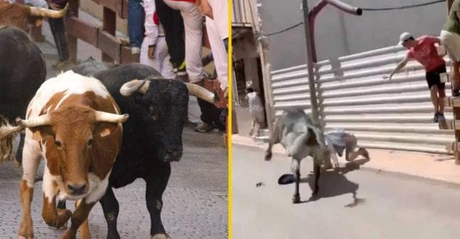 Man seriously injured after being gored during bull run in Spain Man seriously injured after being gored during bull run in Spain