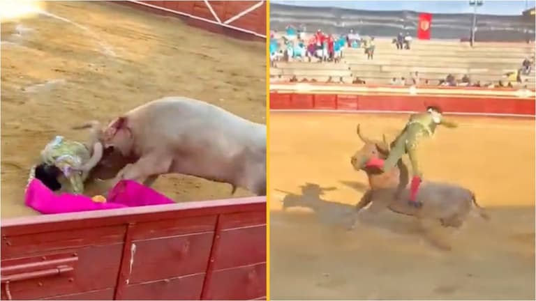Bullfighter gored in the rectum and thrown in the air as horrified spectators watch on