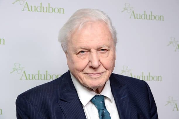 Sir David Attenborough says he is ‘not afraid of death’ as he prepares for 100th birthday