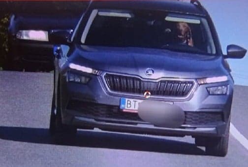 Car owner fined after dog pictured ‘driving car’
