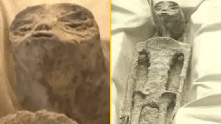 ‘Alien corpses’ unveiled by scientists in hearing showing ‘proof’ of extraterrestrial life ‘Alien corpses’ unveiled by scientists in hearing showing ‘proof’ of extraterrestrial life
