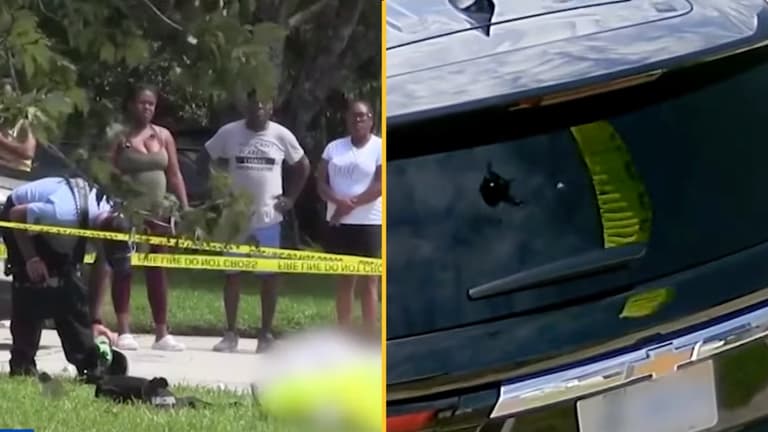 Dead skydiver found on homeowner’s front lawn – CCTV captures ‘hard landing’