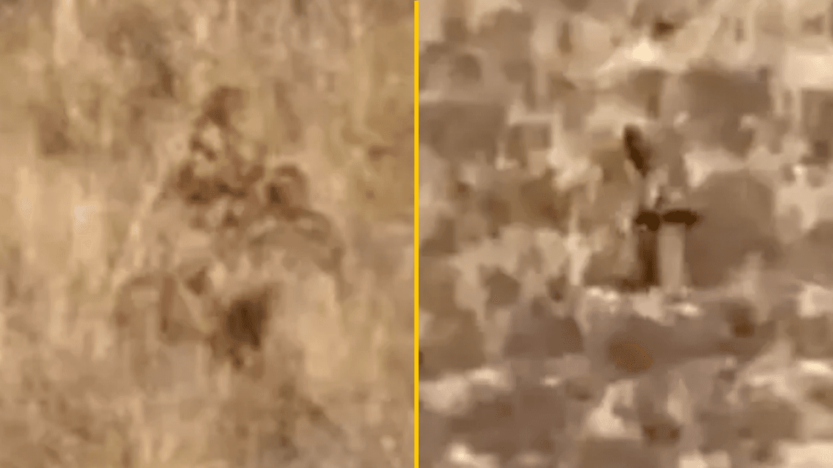 Clear video of Bigfoot sighting shows ‘Sasquatch’ hiking up a mountain
