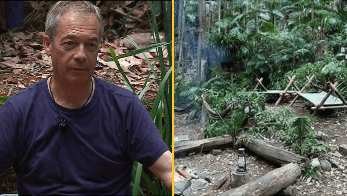 I’m a Celebrity is actually filmed in a ‘fake’ jungle with a roof over it
