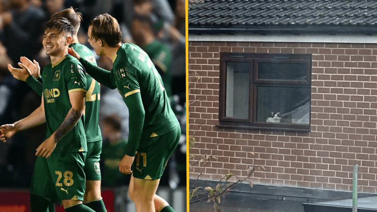 Plymouth Argyle save cat’s life thanks to EA FC 24 Plymouth Argyle save cat’s life thanks to EA FC 24