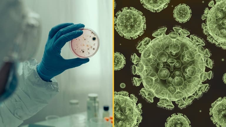 Never-been-seen virus discovered after man struck down with Malaria-like illness
