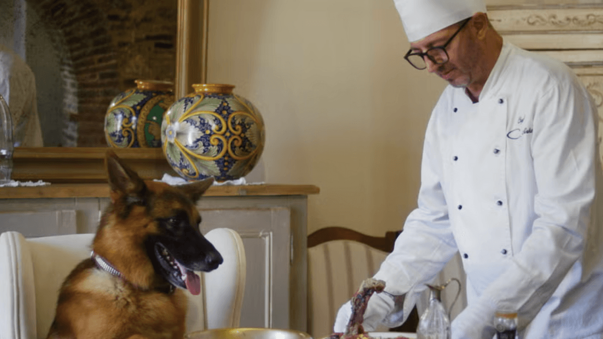 Elderly woman leaves £2.2 million to beloved pets instead of children