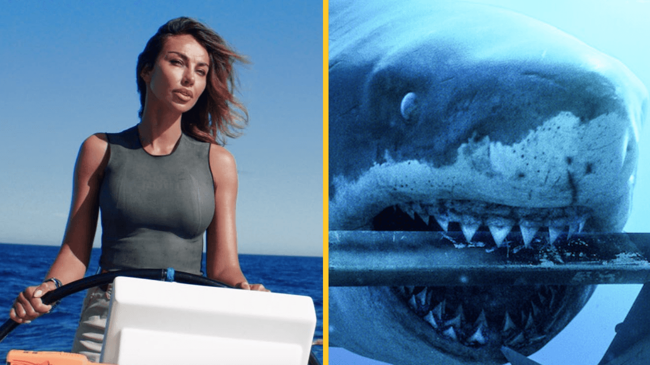 Netflix has just added tense thriller movie about a shark ‘high on cocaine’