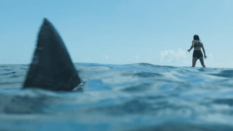 Netflix has just added a new shark movie perfect for Under Paris fans Netflix has just added a new shark movie perfect for Under Paris fans