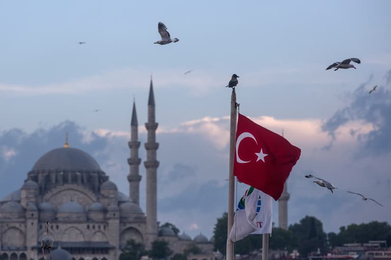 Dog known as ‘The Boulder’ is the highest rated tourist attraction in Istanbul Dog known as ‘The Boulder’ is the highest rated tourist attraction in Istanbul