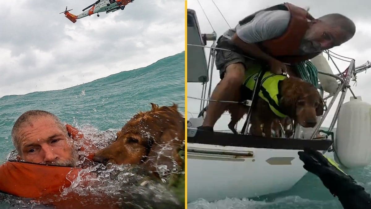 Sailor caught in hurricane shares heartbreaking message he told his dog as they sank