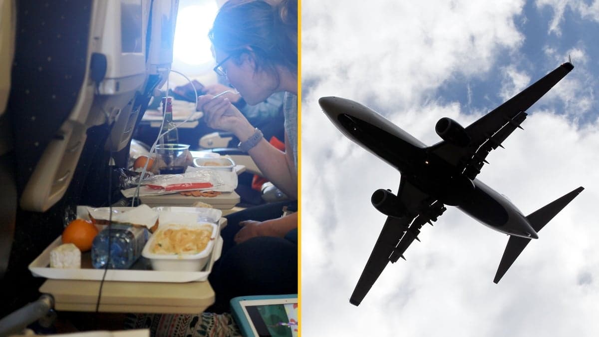 Plane makes emergency landing after mouse jumps out of meal