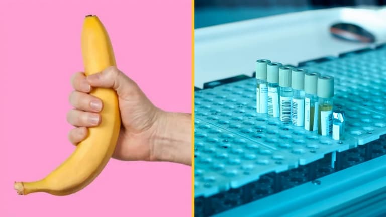Sperm donor cash rises as UK faces national shortage Sperm donor cash rises as UK faces national shortage