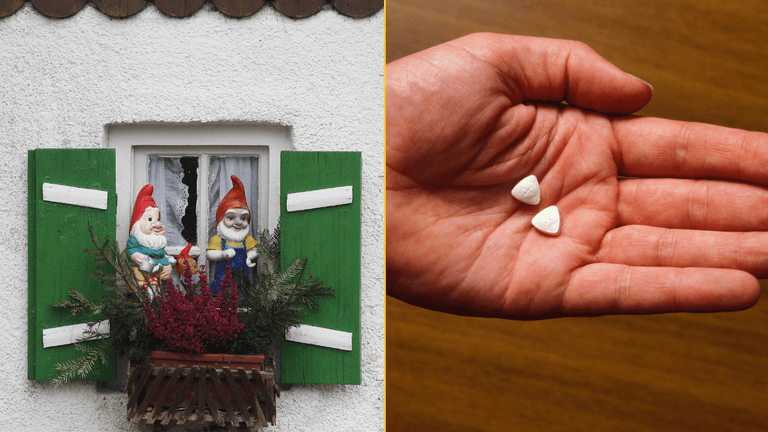 Police discover garden gnome made entirely from MDMA Police discover garden gnome made entirely from MDMA