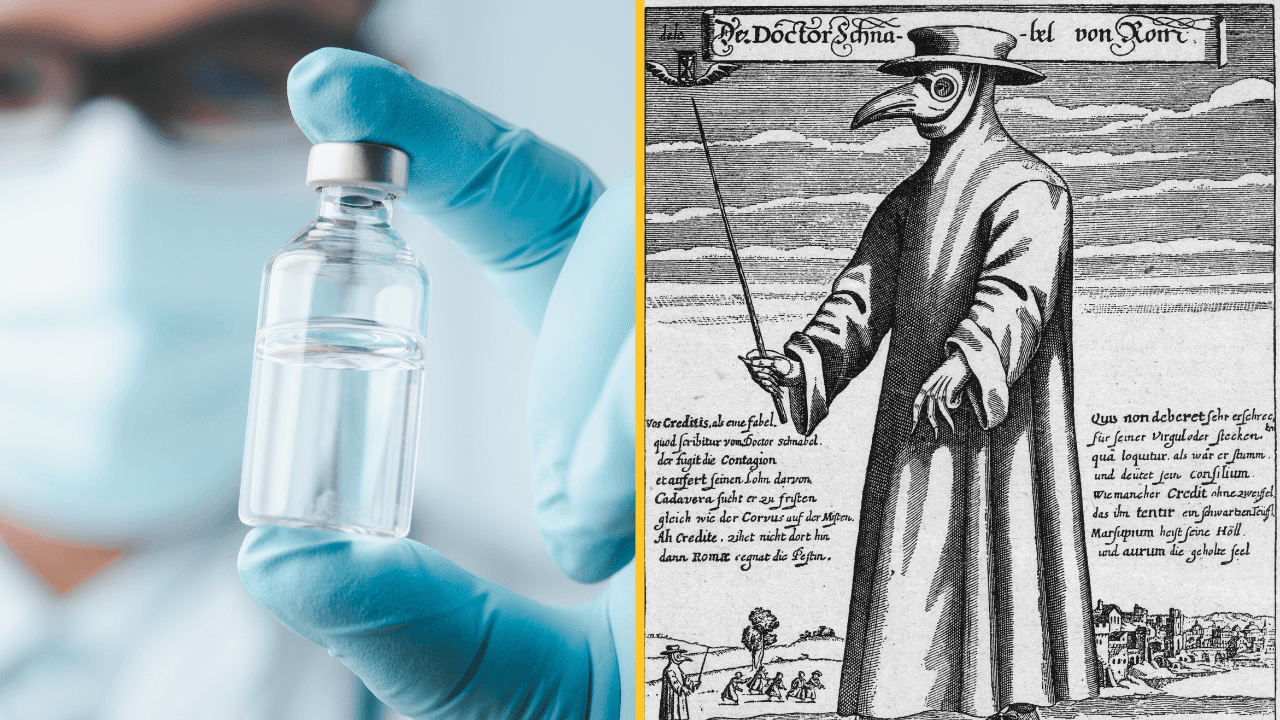 Black Death vaccine in development amid fears disease could make horrifying return
