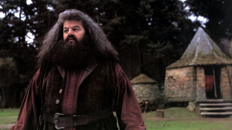 British comedy legend set to play Hagrid in Harry Potter series British comedy legend set to play Hagrid in Harry Potter series
