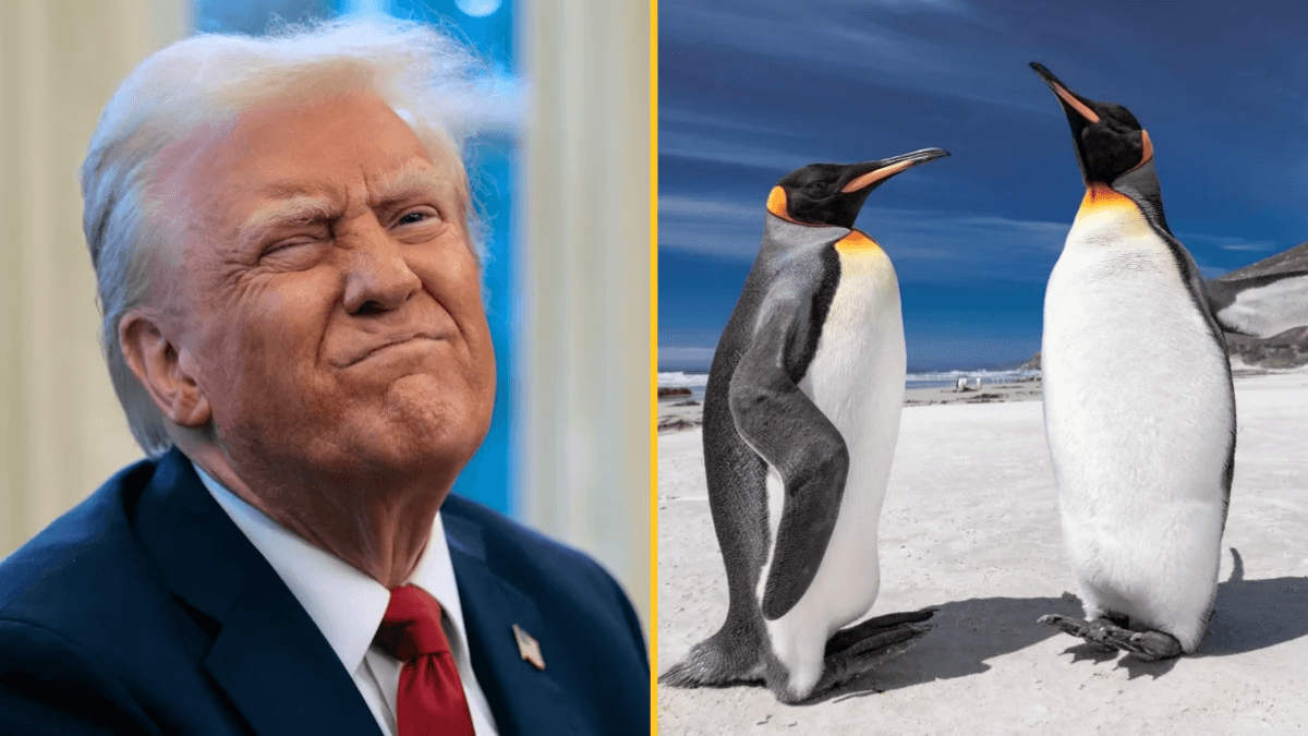 Donald Trump puts tariff on island only populated by penguins