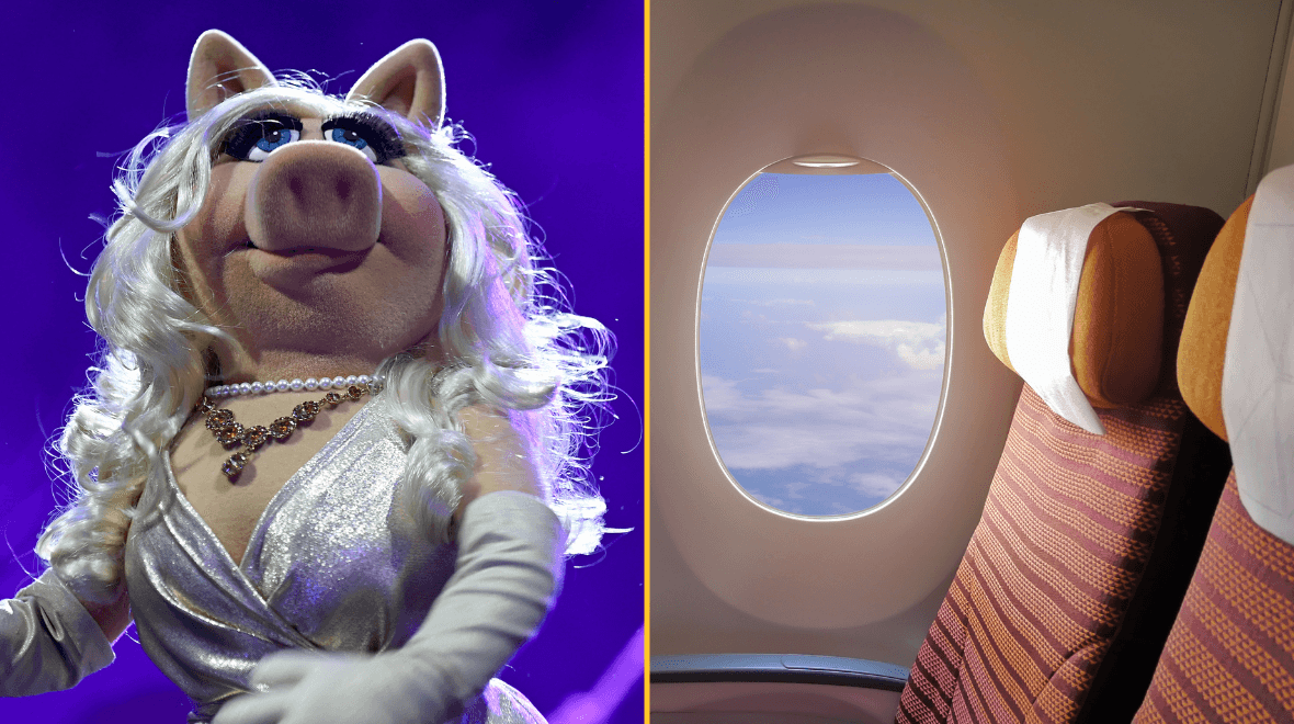 Woman arrested for attacking child who called her ‘Miss Piggy’ on flight