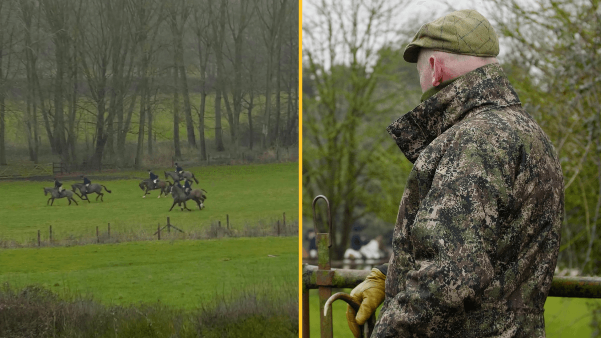 Inside the violent world of fox hunting in the UK