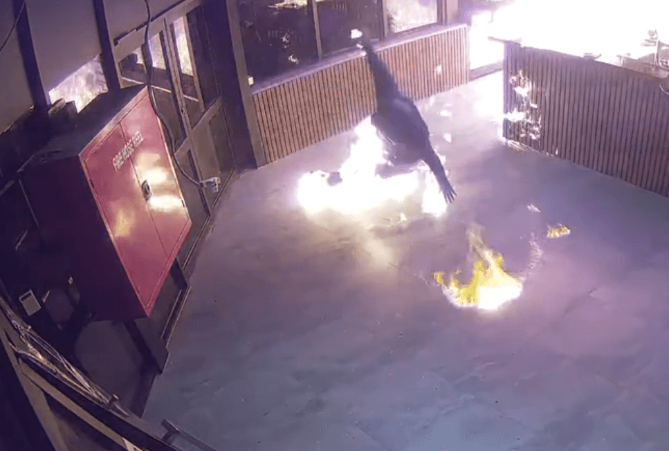 Moment man lights himself on fire in botched arson attack
