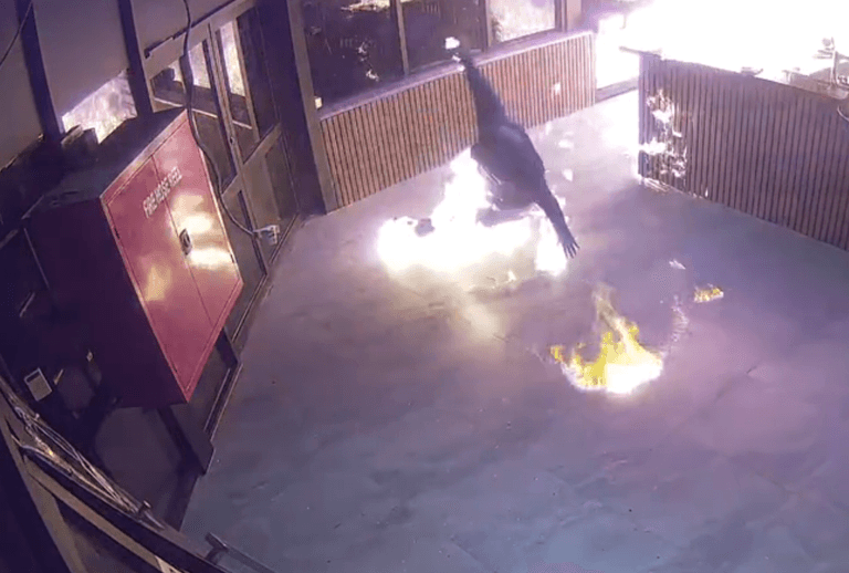 Moment man lights himself on fire in botched arson attack Moment man lights himself on fire in botched arson attack