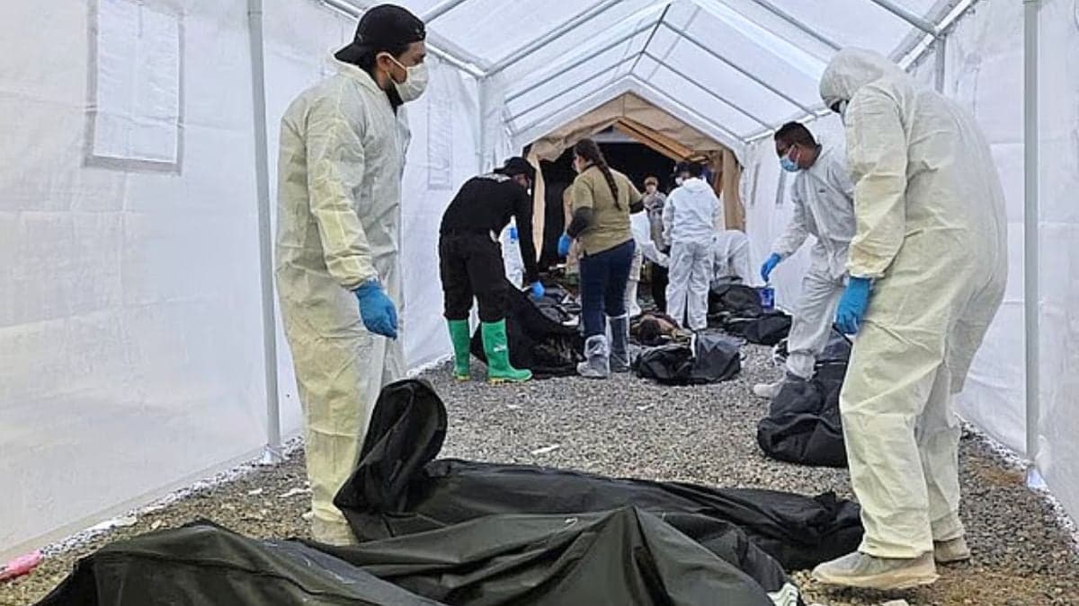 Almost 400 human bodies found piled high in neglected compound