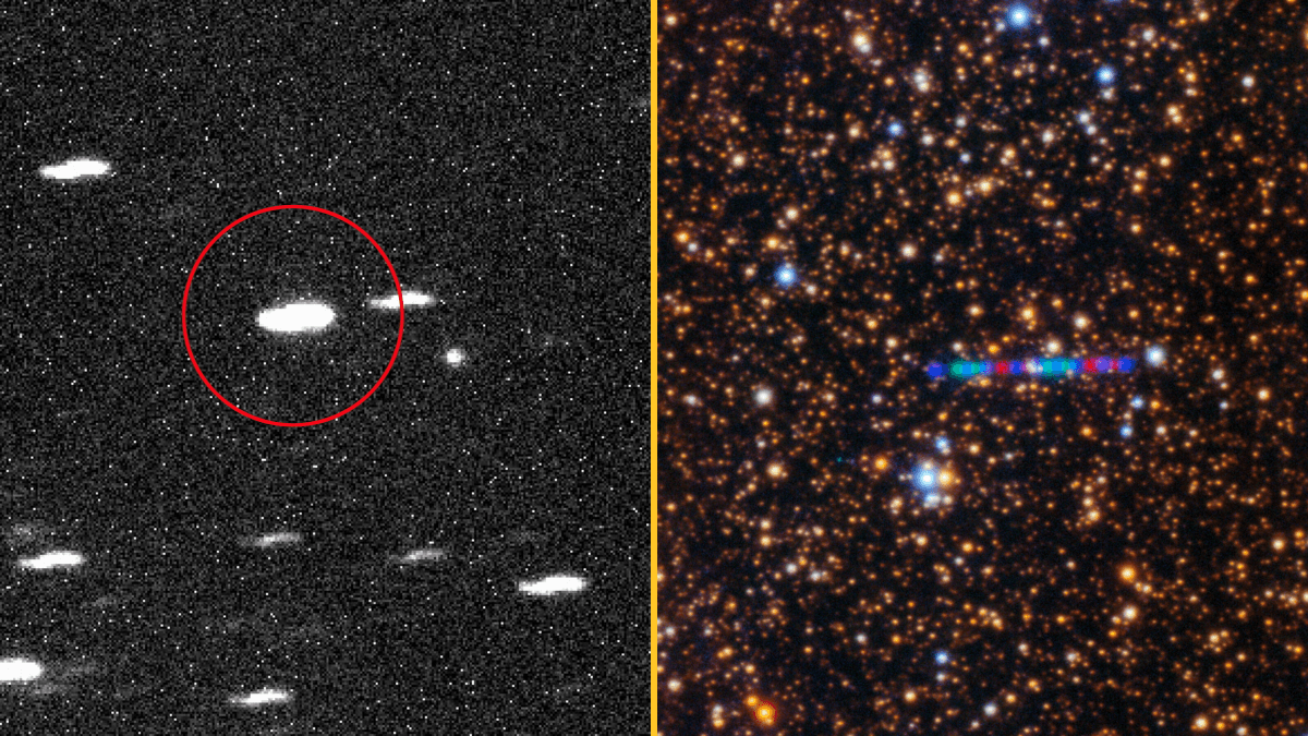 ‘Potentially hostile’ alien threat could attack Earth in a few months, scientists claim