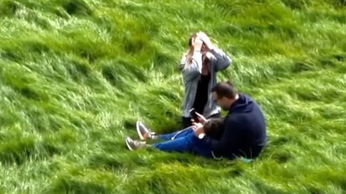 Heartfelt moment missing dog is reunited with its family